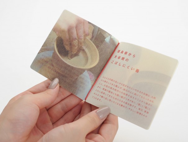 aeru_leaflet