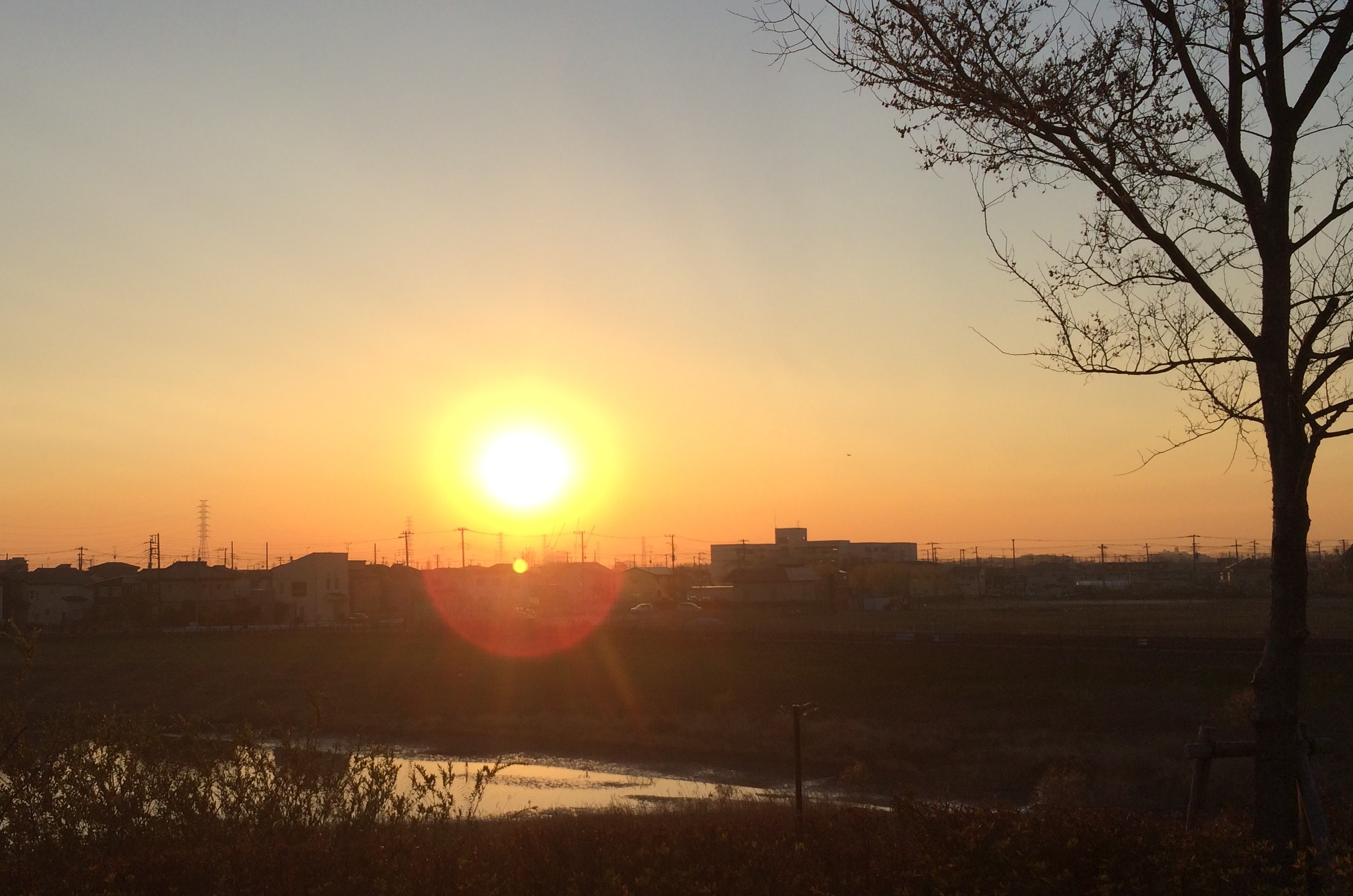 夕焼け