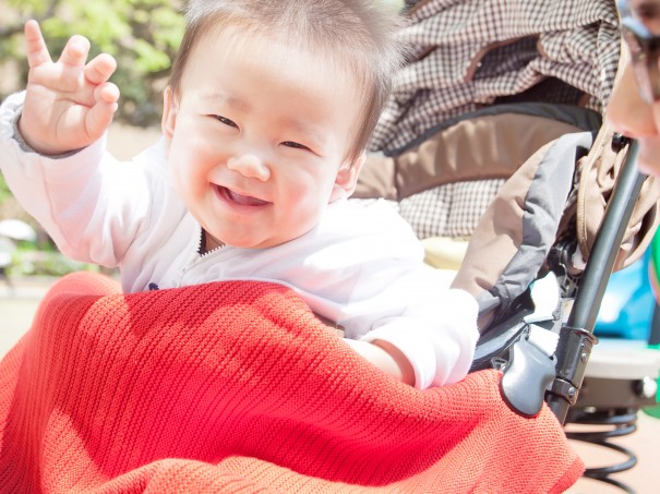 京都府から 草木染の ブランケット