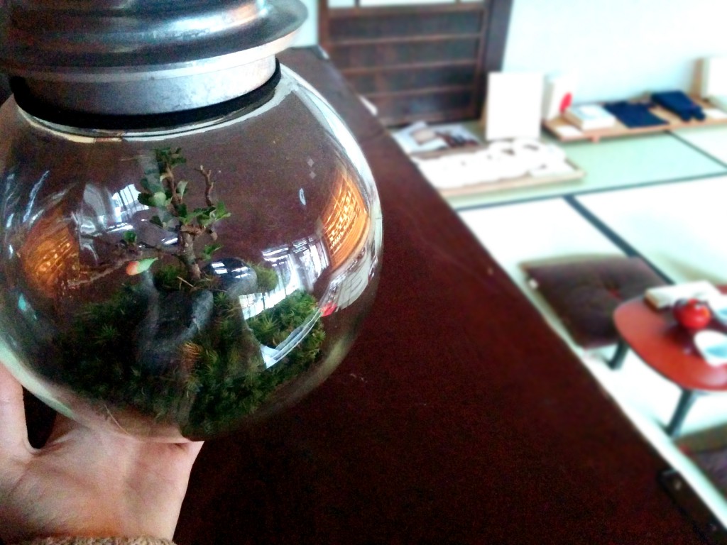木瓜の花Space Colony