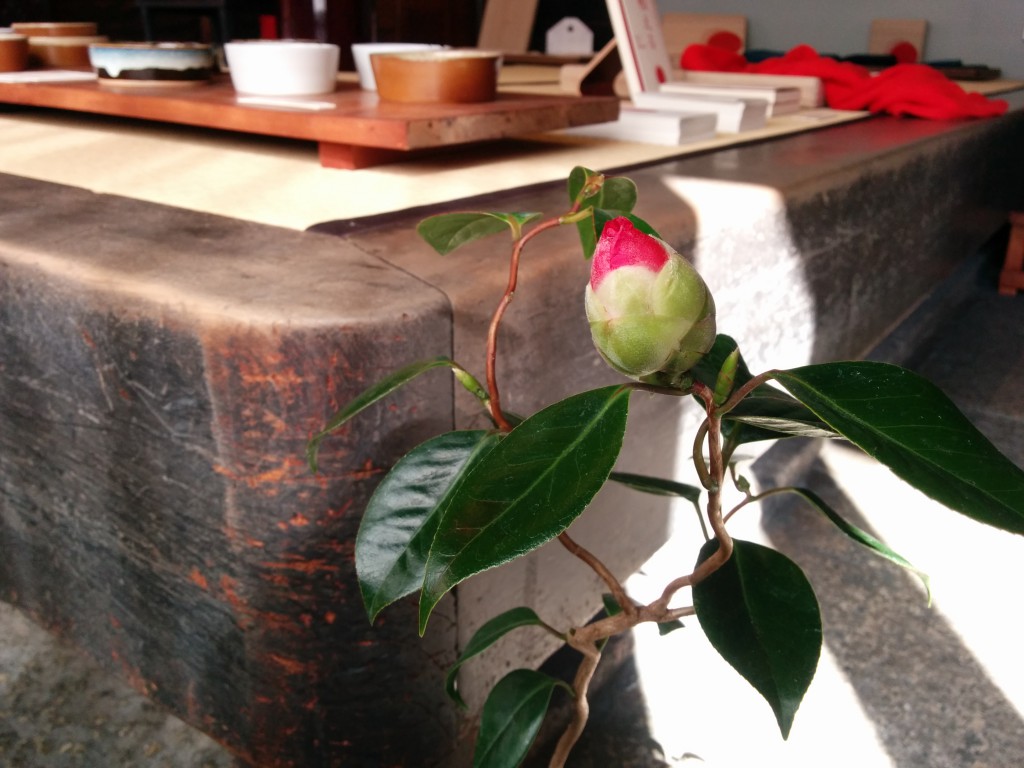 08_ツバキの蕾