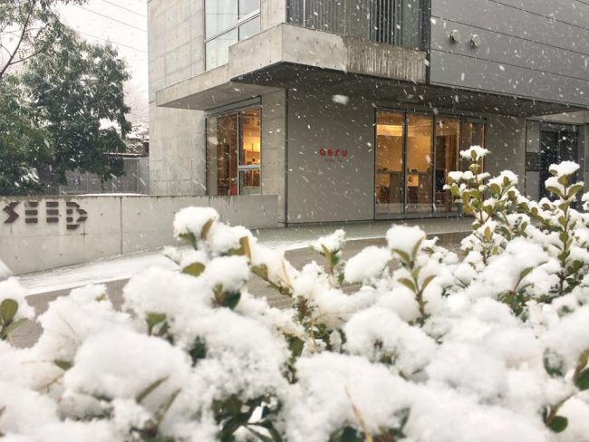 aeru meguro_雪