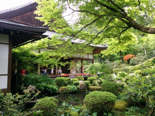 新緑の京都 大原三千院