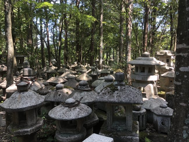 奈良aeru room 北山都乾園で石選び