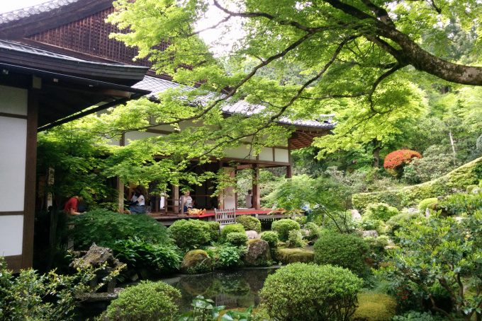 新緑の京都 大原三千院